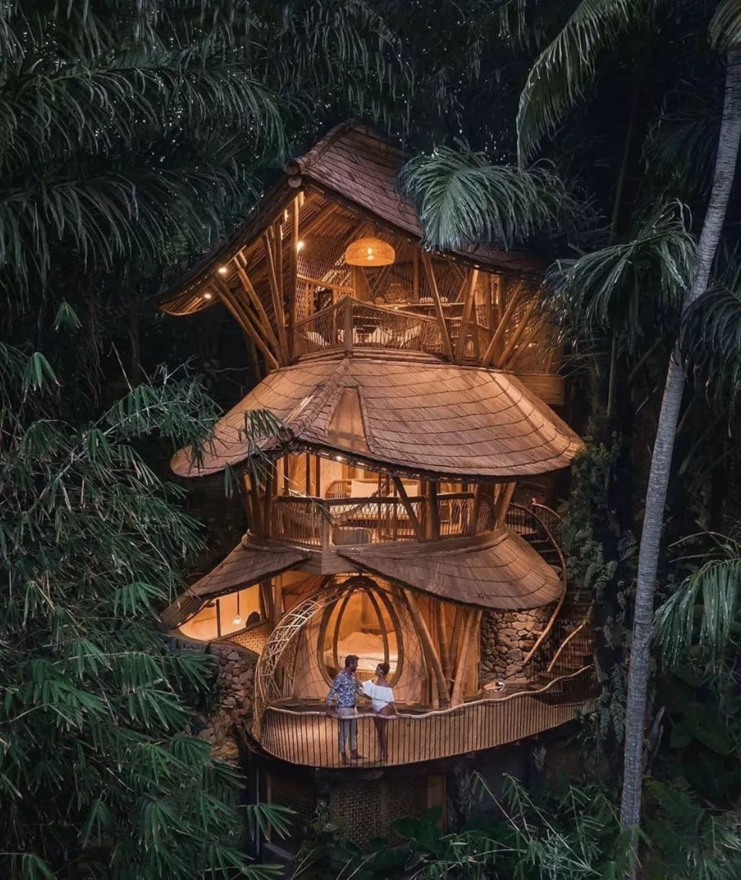 螞蟻會員等級(螞蟻會員等級標志)-添財網