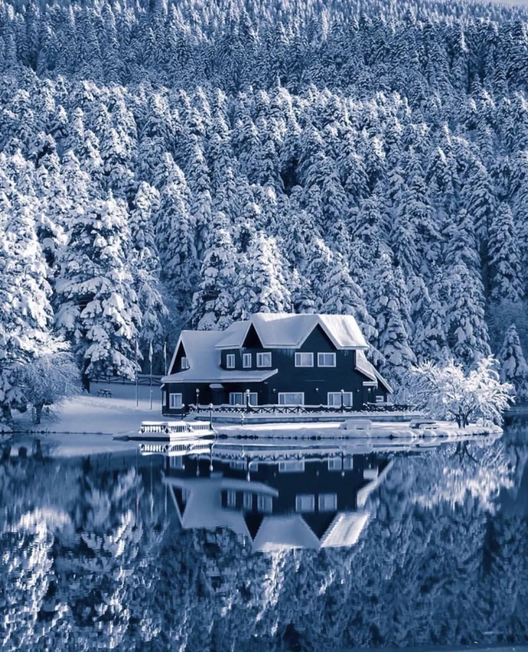 螞蟻會員等級(螞蟻會員等級標志)-添財網