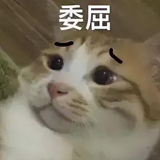 利差益(利差益)-添財網