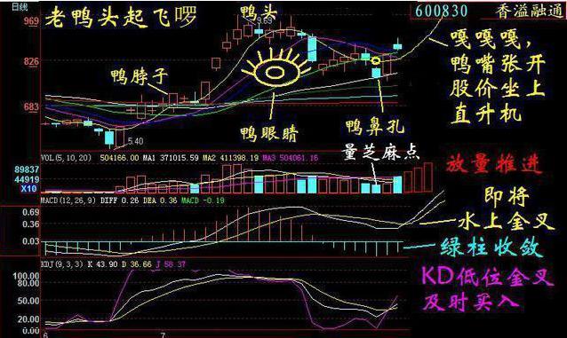 老鴨頭形態(tài)(老鴨頭形態(tài)視頻講座)-添財網(wǎng)