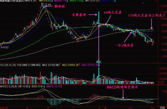 老鴨頭形態(tài)(老鴨頭形態(tài)視頻講座)-添財網(wǎng)