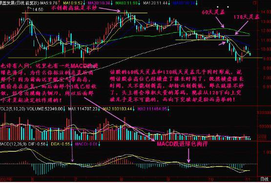 老鴨頭形態(tài)(老鴨頭形態(tài)視頻講座)-添財網(wǎng)
