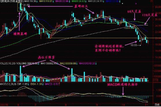 老鴨頭形態(tài)(老鴨頭形態(tài)視頻講座)-添財網(wǎng)