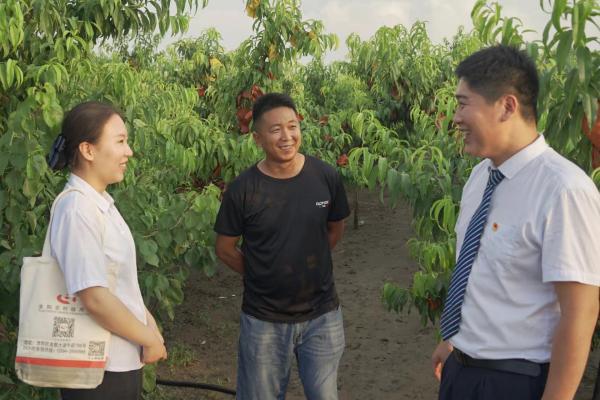 金燕e貸(金燕e貸)-添財網