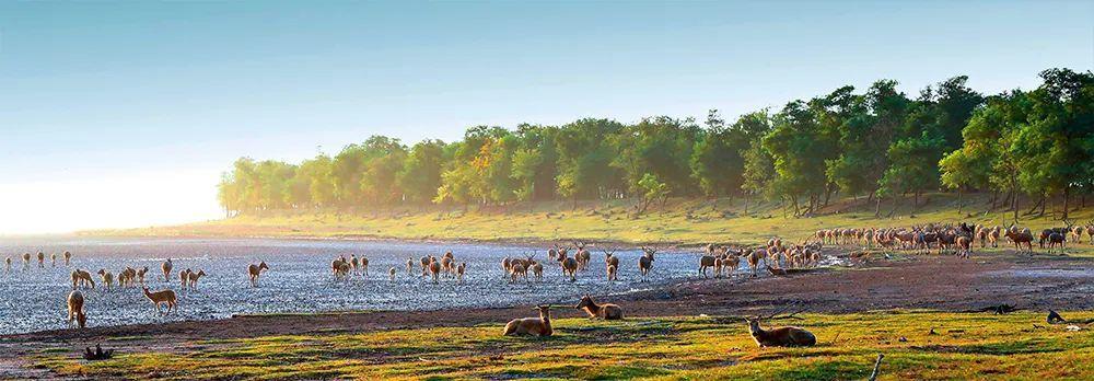 節能四新是指(節能指的是)-添財網