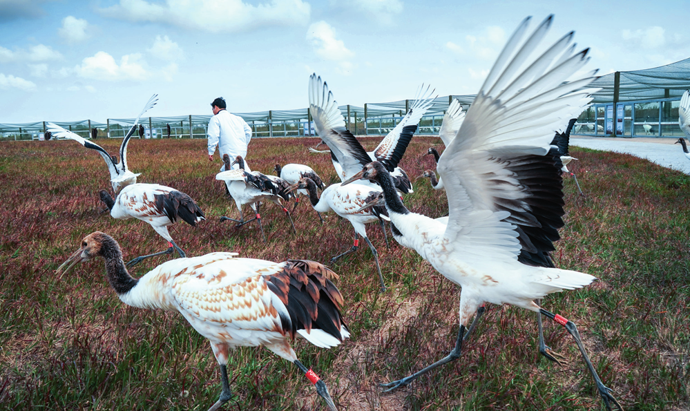 節能四新是指(節能指的是)-添財網