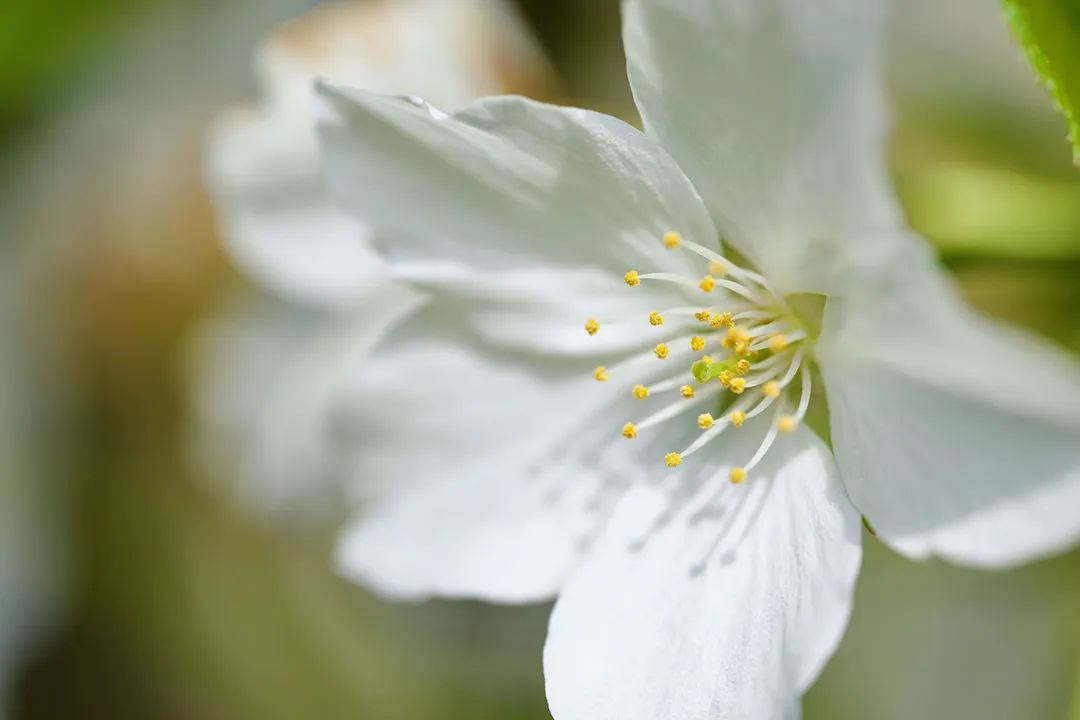 健康有約(健康有益)-添財網