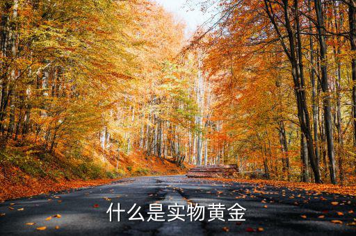 建行紙黃金(建行紙黃金價格走勢圖)-添財網