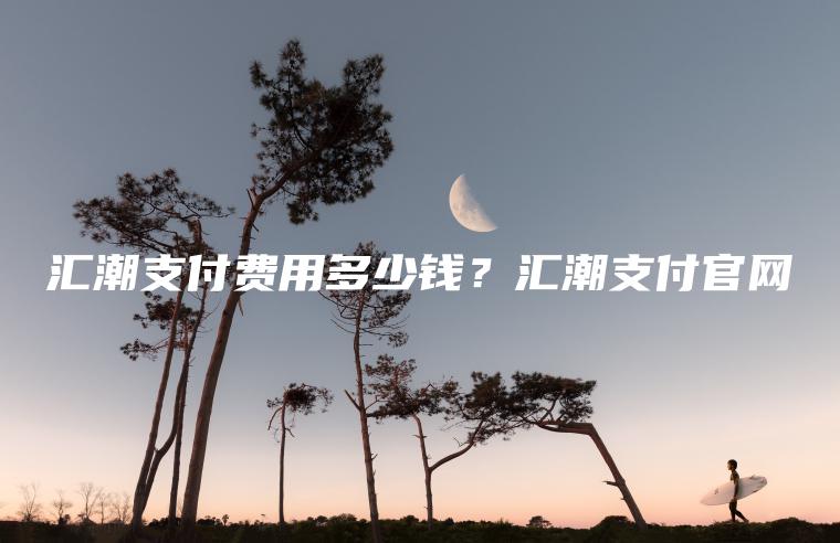 匯潮支付(匯潮支付有限公司是做什么的)-添財(cái)網(wǎng)