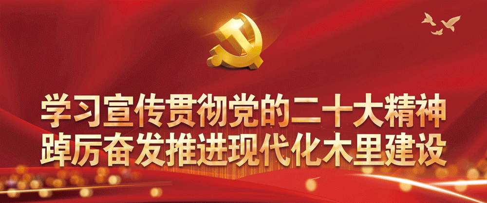 惠農e貸(寧商e貸網貸平臺)-添財網