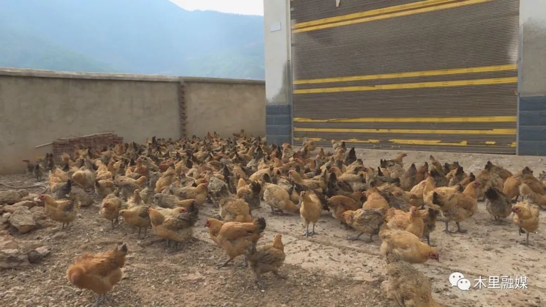 惠農e貸(寧商e貸網貸平臺)-添財網