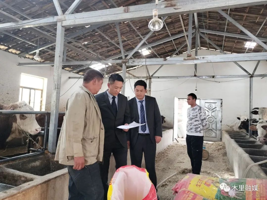 惠農e貸(寧商e貸網貸平臺)-添財網