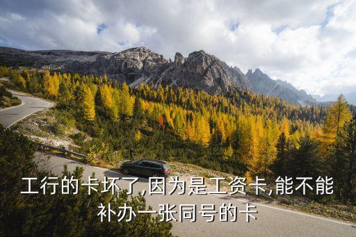 壞銀行(壞銀行第二季)-添財網