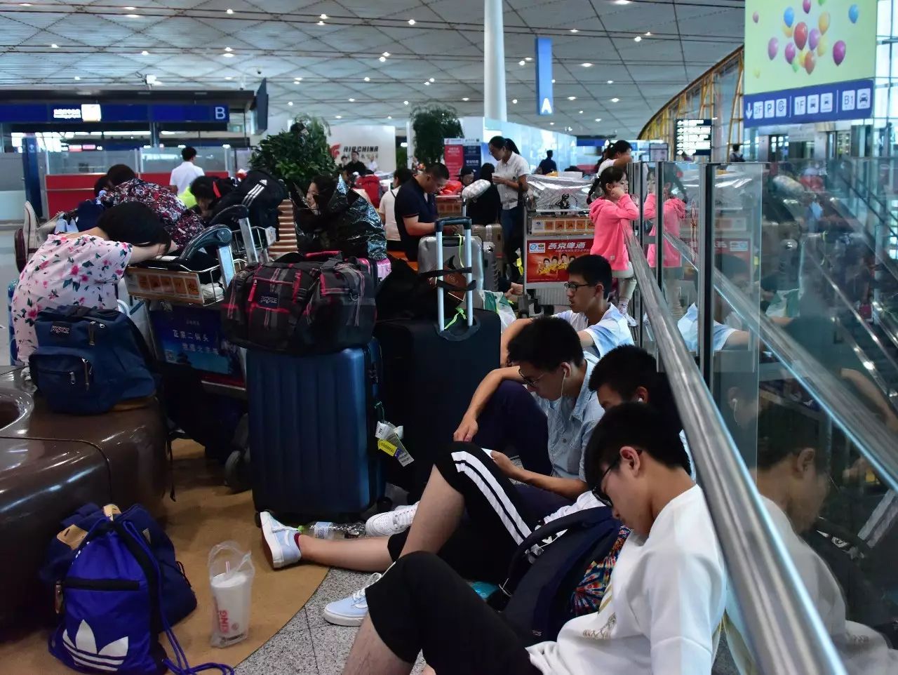 航班延誤險怎么買(航班延誤險投保)-添財網