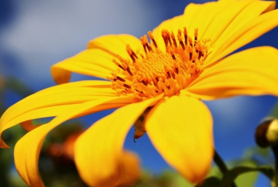 還唄利息高嗎(利息高但是能借到錢的平臺)-添財網