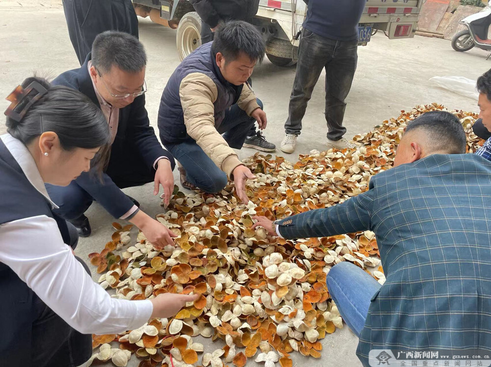 國民村鎮銀行(國民村鎮銀行24小時客服電話)-添財網