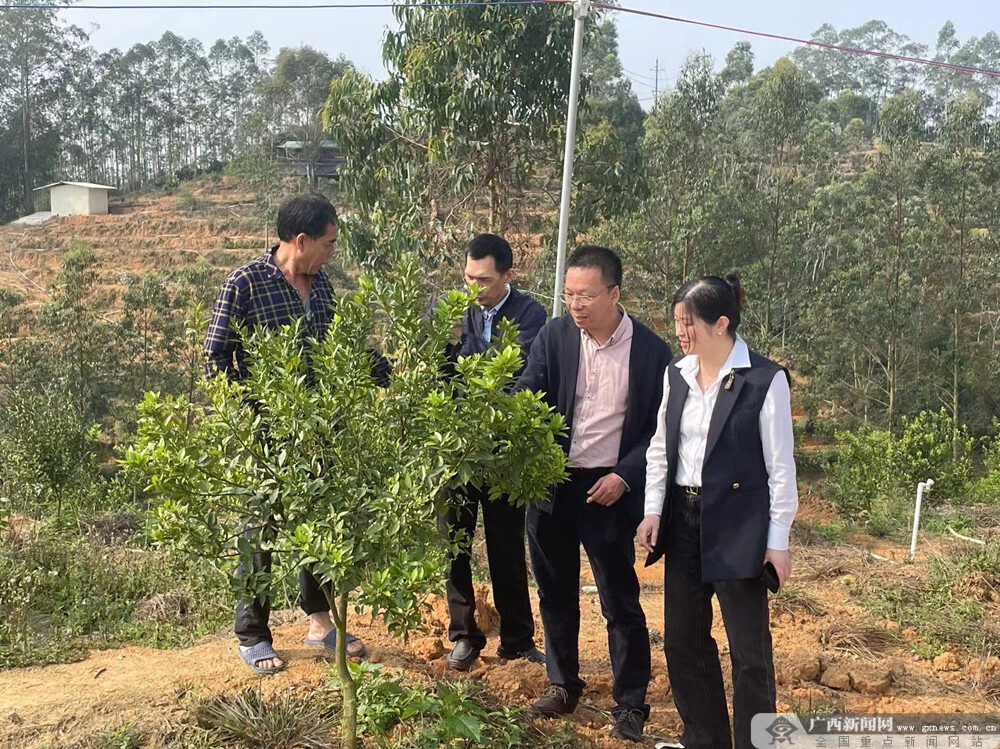 國民村鎮銀行(國民村鎮銀行24小時客服電話)-添財網