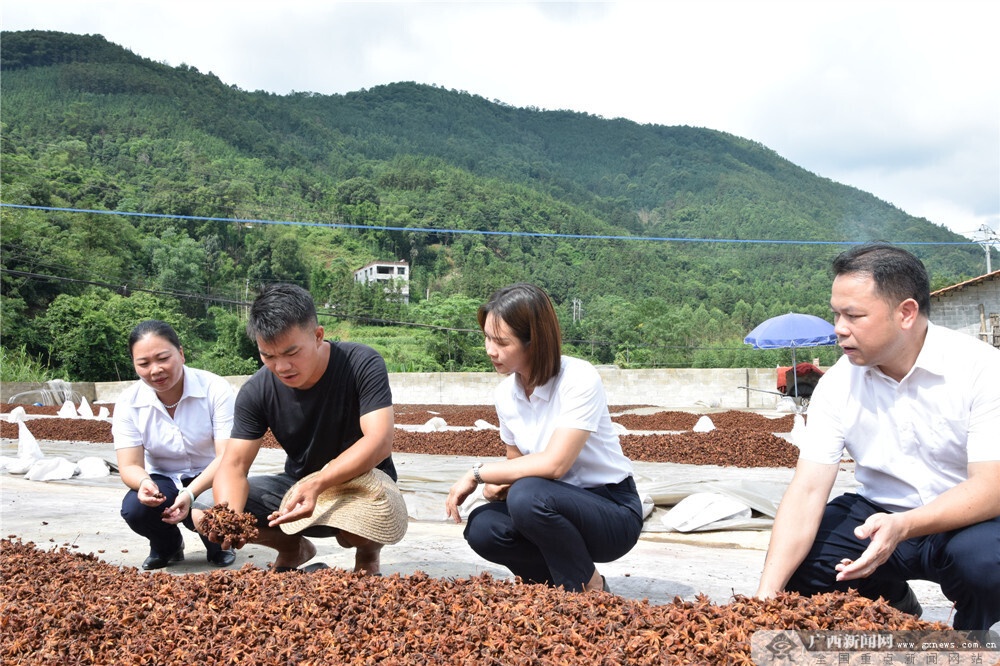 國民村鎮銀行(國民村鎮銀行24小時客服電話)-添財網