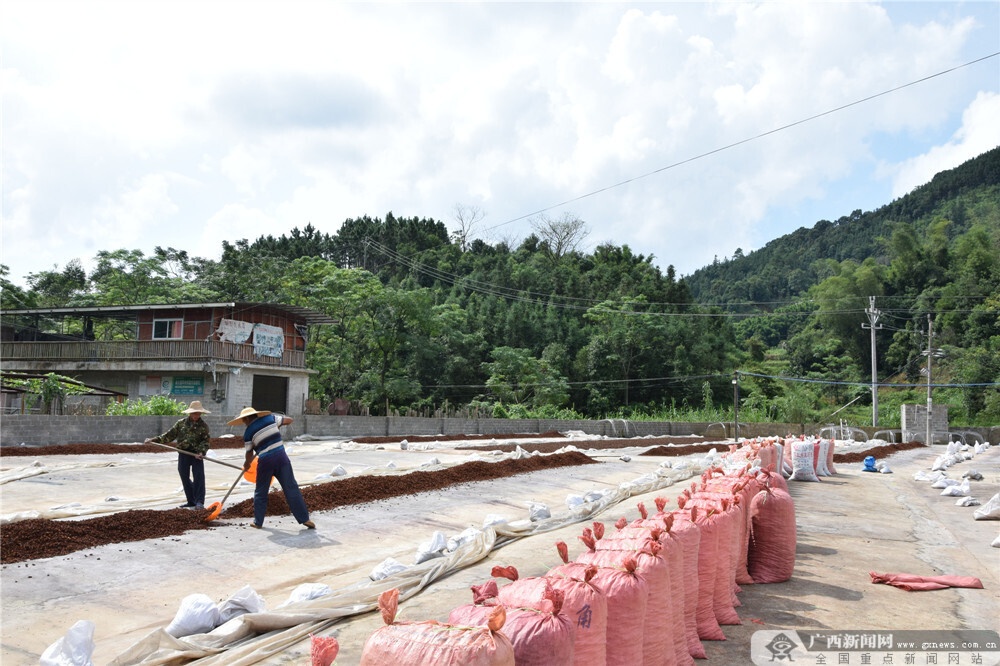 國民村鎮銀行(國民村鎮銀行24小時客服電話)-添財網