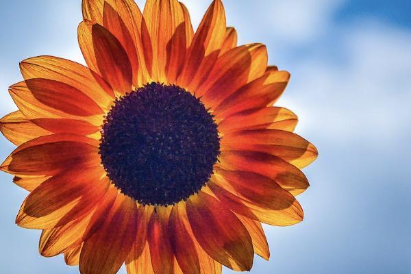 國聯人壽官網(人壽官網國聯客服電話)-添財網