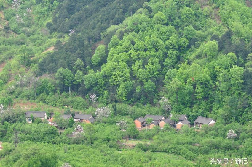 功夫貸(功夫貸)-添財網