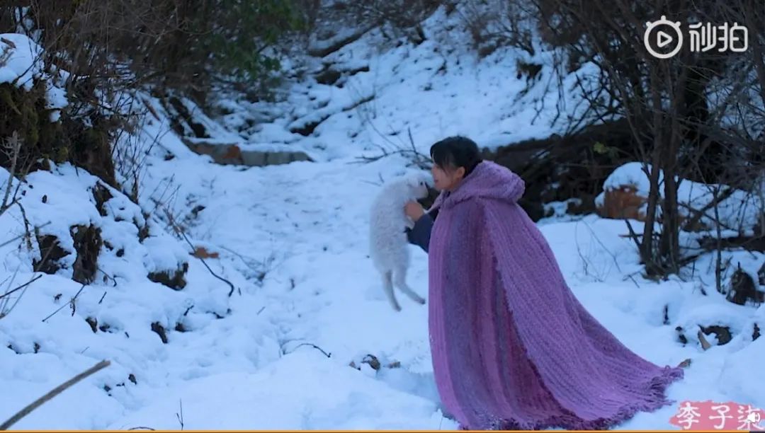 公務員炒股最新規定(國家公務員炒股)-添財網