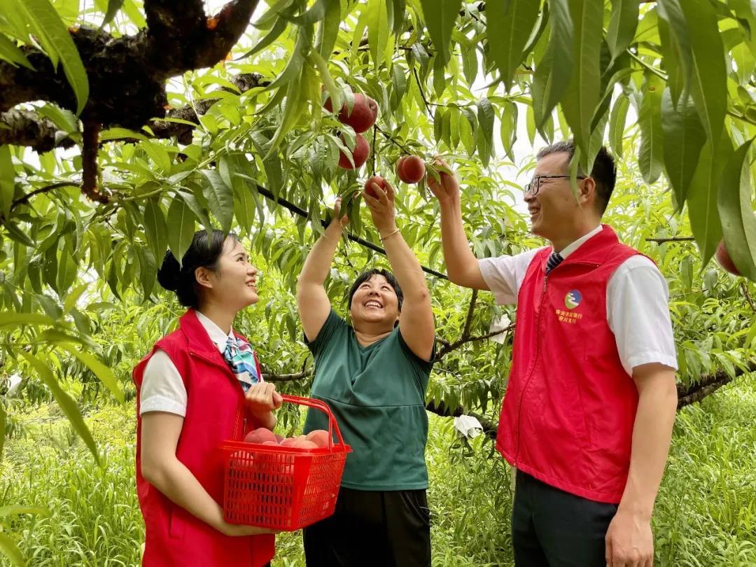 公雞貸(公雞貸)-添財網