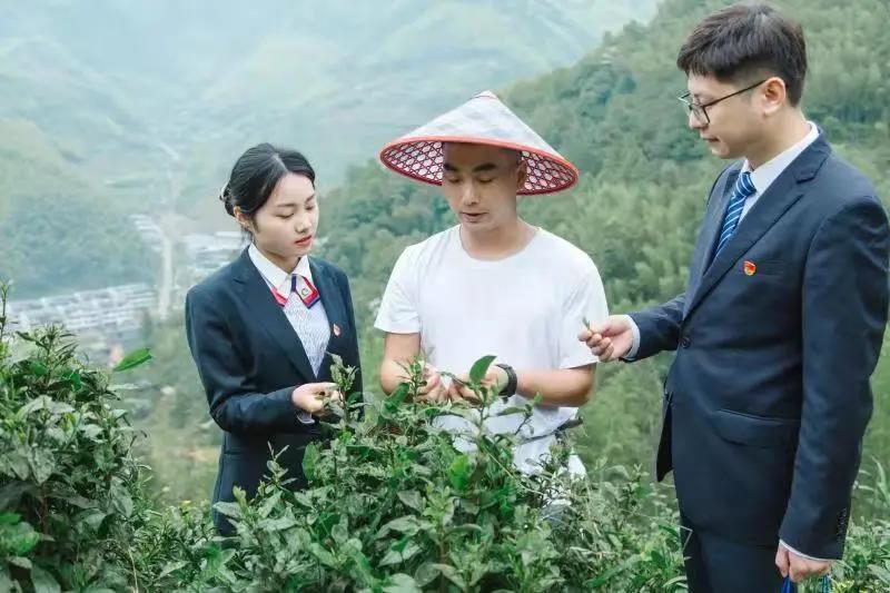 公雞貸(公雞貸)-添財網