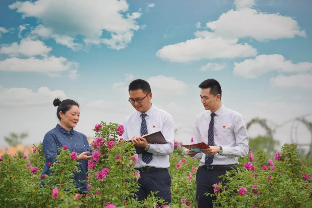 公雞貸(公雞貸)-添財網