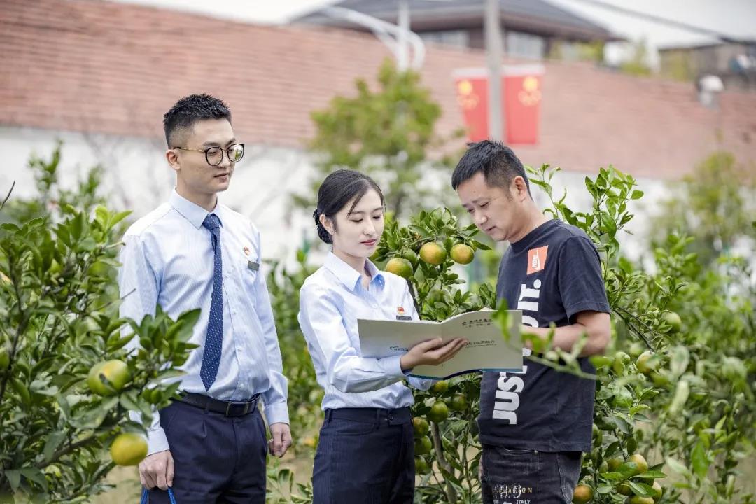 公雞貸(公雞貸)-添財網