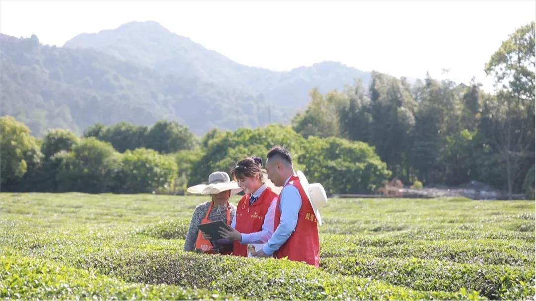 公雞貸(公雞貸)-添財網