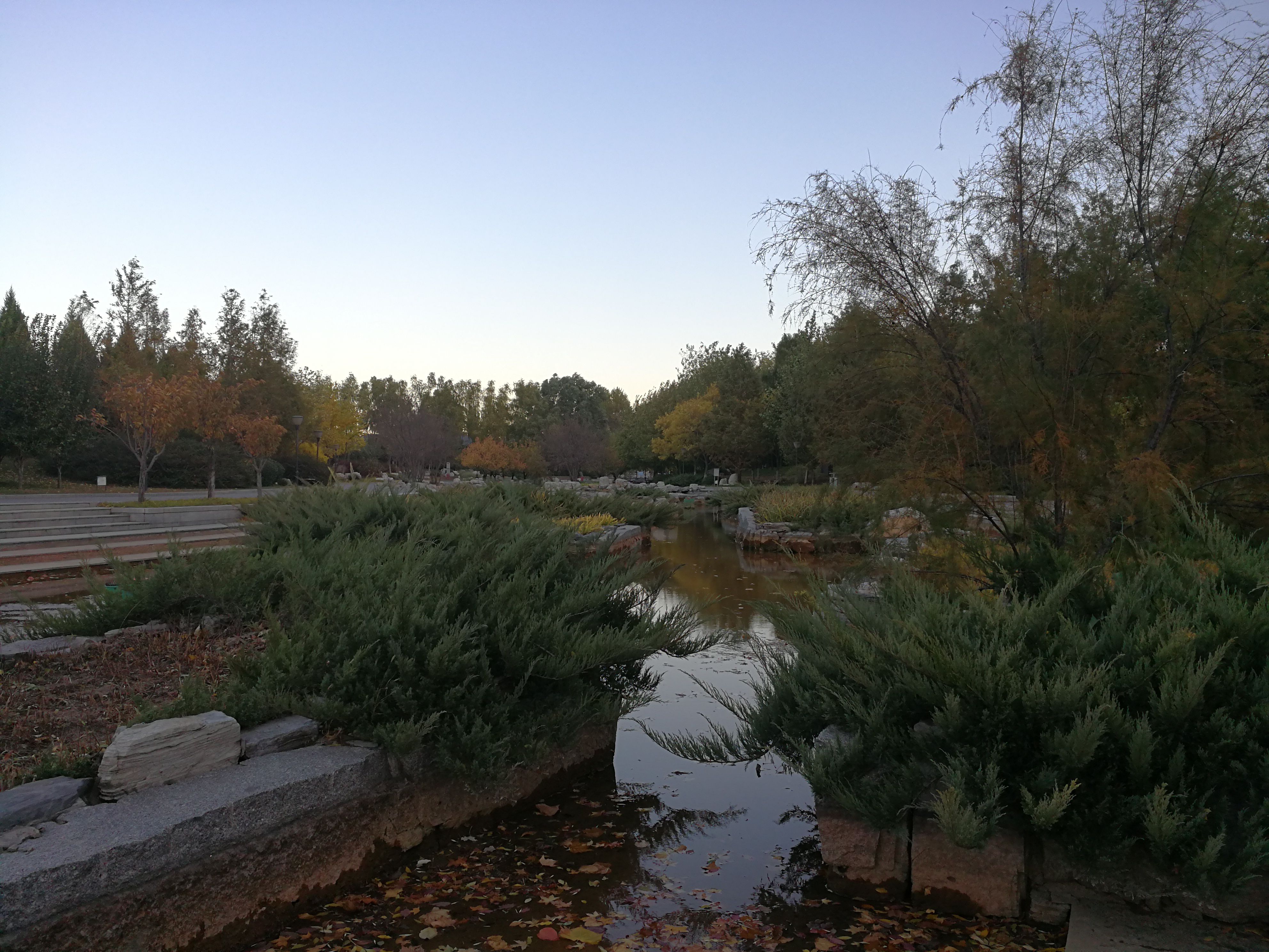 購匯和購鈔的區別(購鈔和購匯哪個便宜)-添財網