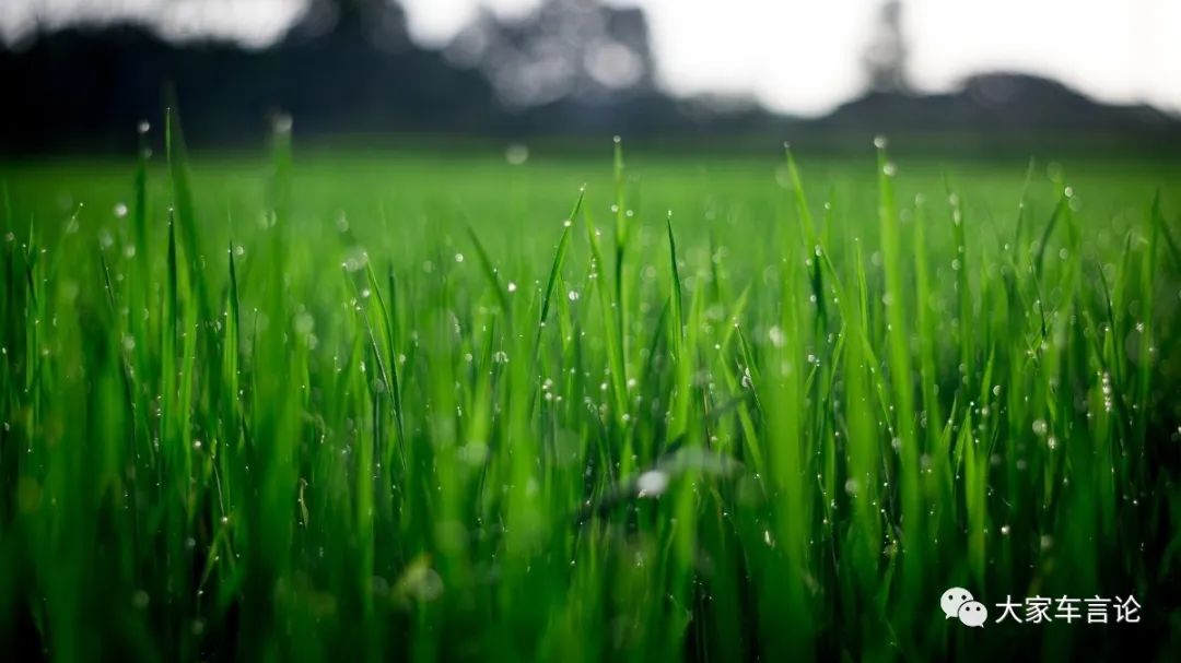 割韭菜什么意思(割韭菜意思網(wǎng)絡(luò)用語)-添財網(wǎng)