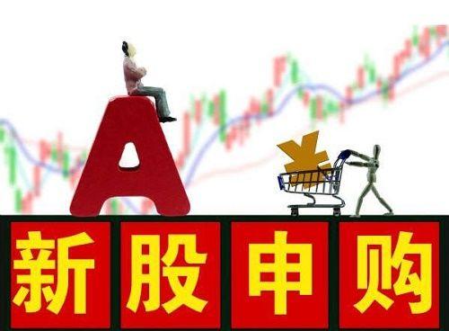 次新股是什么意思(什么算次新股)-添財網