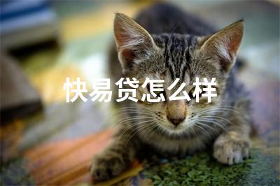 博民快易貸(民易貸介紹)-添財網