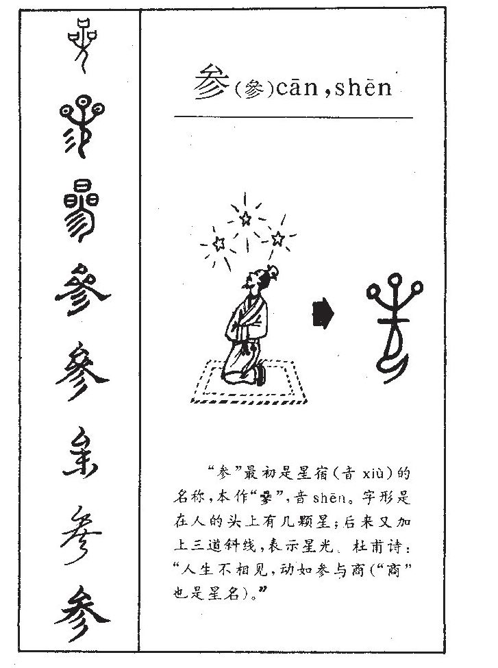 參辰(辰參日月)-添財網