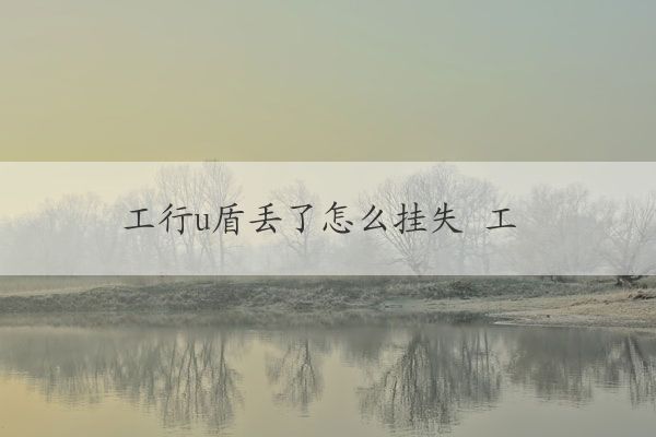 u盾丟了怎么辦(u盾丟了怎么辦)-添財網