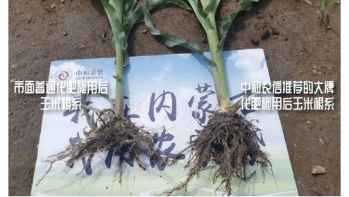 中和農信(中和農信是國企嗎)-添財網