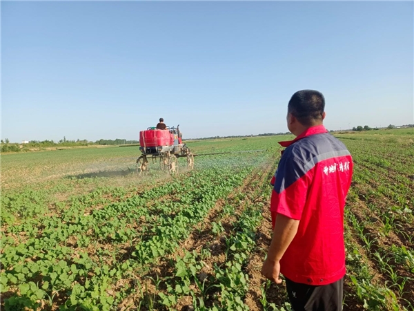 中和農信(中和農信是什么公司)-添財網