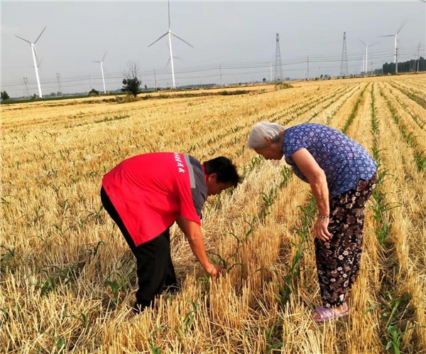 中和農信(中和農信是什么公司)-添財網