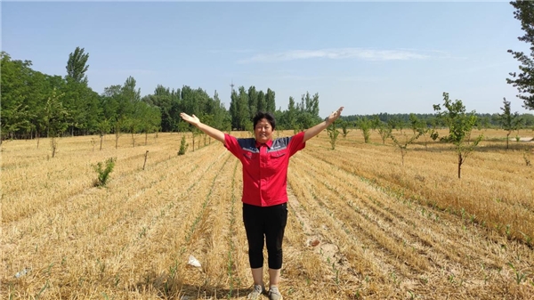 中和農信(中和農信是什么公司)-添財網