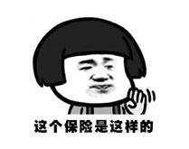 中宏人壽保險有限公司(中國人壽中宏保險)-添財網