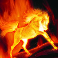 止付是什么意思(止付狀態是什么意思)-添財網