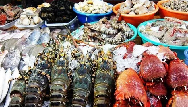 越南盾面值(越南盾面值最小是多少)-添財(cái)網(wǎng)