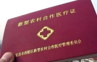 新農(nóng)合是什么意思(新農(nóng)合的意思是)-添財(cái)網(wǎng)