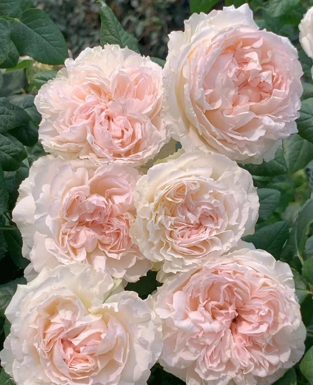 受益人是什么意思(受益意思是說什么)-添財網