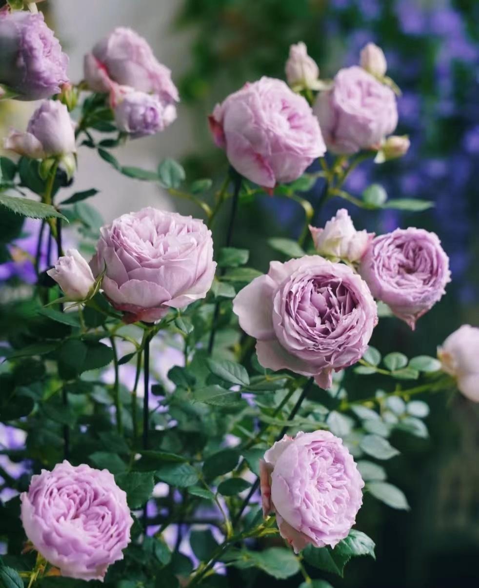 受益人是什么意思(受益意思是說什么)-添財網