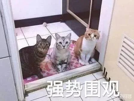 什么是降準(降準是財政政策還是貨幣政策)-添財網