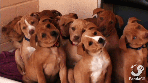 什么是降準(降準是財政政策還是貨幣政策)-添財網