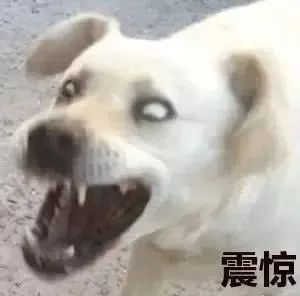 什么是降準(降準是財政政策還是貨幣政策)-添財網